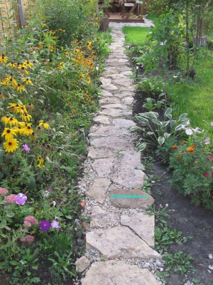 dorozka
