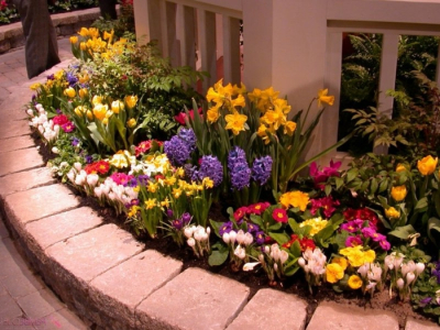 flowers