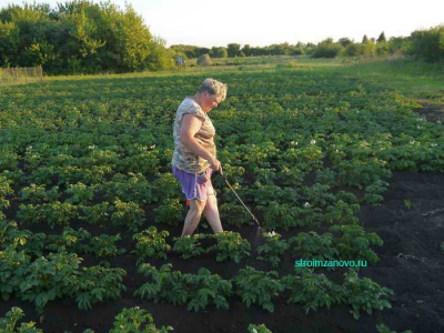opryskivanie