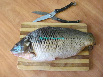 Karp