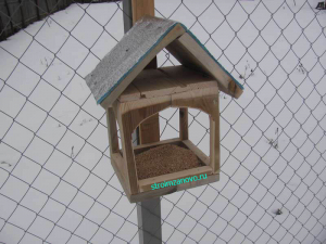 kormuschka_glav