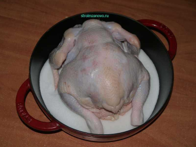 kurica