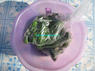 paket-jpg