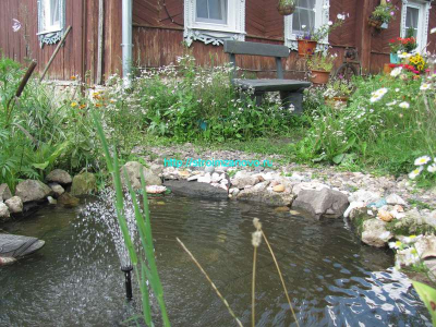 skameika_u_pruda-jpg