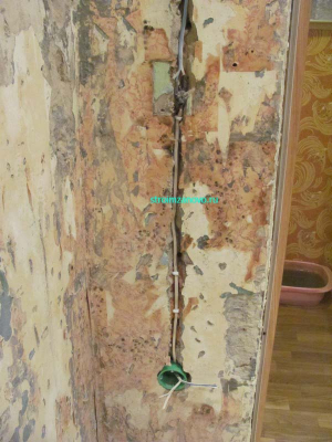 rozetka