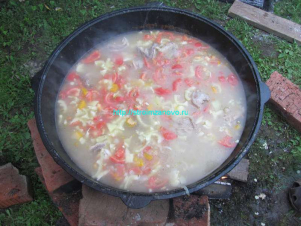 schurpa_gl