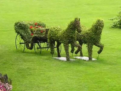 loschadi