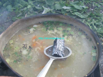 Ugolek