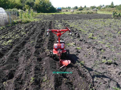 motoblok_na_paschne