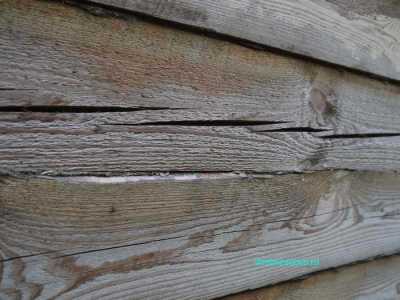 treshina_v_bruse